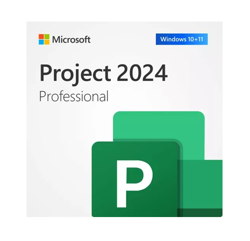 Microsoft Project 2024 Professional for 3 Devices | Lifetime License | Windows