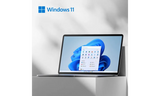 Windows 11